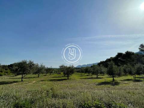 Vente maison Saint-Rémy-de-Provence 13