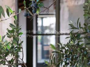 Vente Maison 3 chambresSaint-Rémy-de-Provence