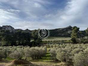 Vente MaisonSaint-Rémy-de-Provence