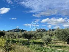 Vente Maison 5 chambresSaint-Rémy-de-Provence