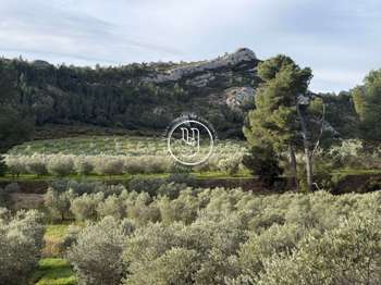 Vente maison 20 pièces Saint-Rémy-de-Provence 13