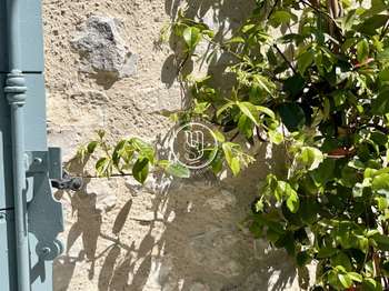 Vente Maison 7 chambresSaint-Rémy-de-Provence