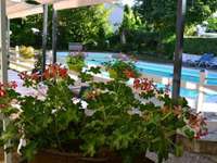 Vente maison 15 pièces