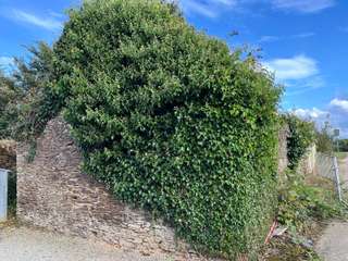 Vente maison 1 pièce