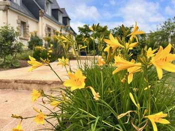 Vente maison 6 pièces Saint-Ségal 29