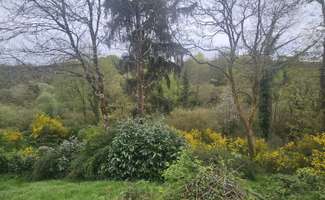 Photo Vente maison Saint-Servais
