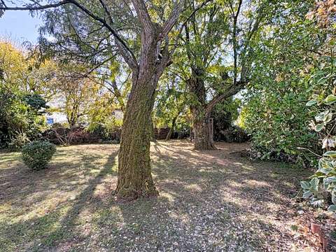 Vente maison 12 pièces