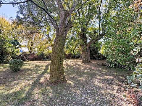 Vente maison 12 pièces