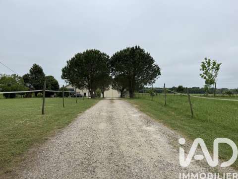 Vente maison 6 pièces Saint-Sulpice-de-Pommiers 33