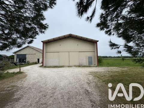 Vente maison 6 pièces Saint-Sulpice-de-Pommiers 33