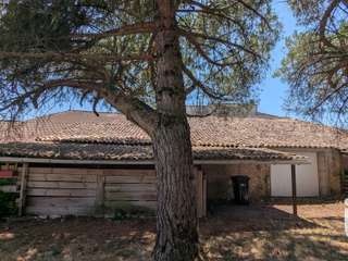 Vente maison 12 pièces Vente maison 12 pièces