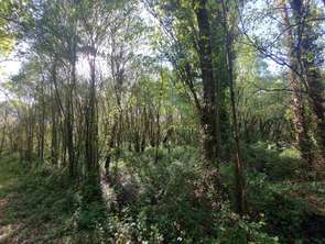 Vente Maison 5 chambresSaint-Vincent-des-Landes