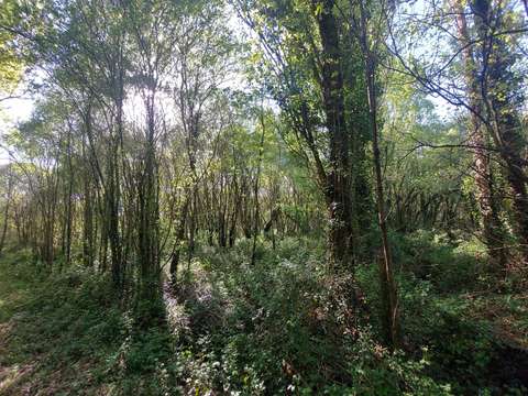 Vente maison 6 pièces Saint-Vincent-des-Landes 44