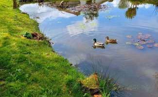 Photo Vente maison Sainte-Flaive-des-Loups