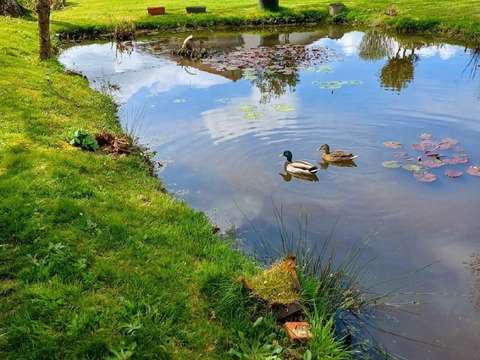 Vente maison 5 pièces Sainte-Flaive-des-Loups 85