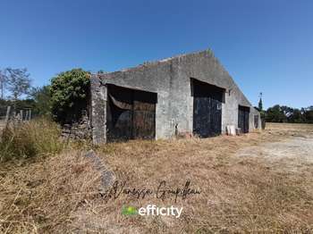Vente Maison 1 pièceSainte-Flaive-des-Loups