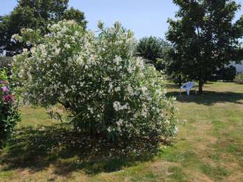 Vente Maison 5 chambresSainte-Foy