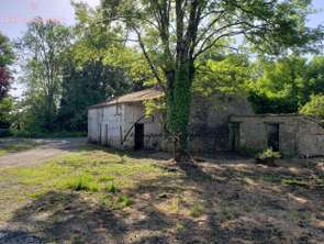 Vente Maison 1 pièceSainte-Hermine