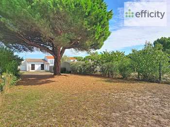 Photo Vente maison Sainte-Marie-de-Ré