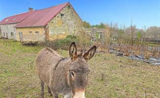 Photo Vente maison Sainte-Scolasse-sur-Sarthe