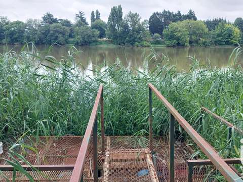 Vente maison 7 pièces Sainte-Terre 33