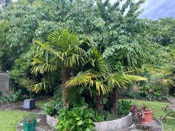 Vente maison 6 pièces Saintes 17