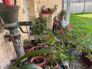 Vente maison 9 pièces Vente maison 9 pièces