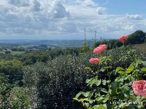 Vente maison 6 pièces Salies-de-Béarn 64