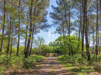 Vente maison 7 pièces Sanguinet 40