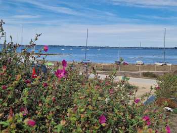 Vente Maison 4 chambresSarzeau