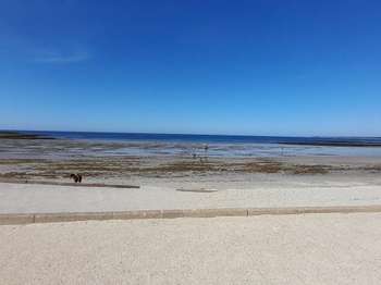 Vente Maison 4 chambresSarzeau Campagne-Atlantique