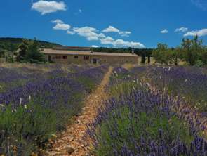 Vente Maison 7 chambresSault