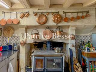 Vente maison 20 pièces