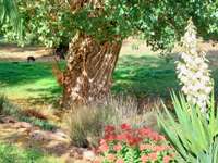 Vente maison 15 pièces