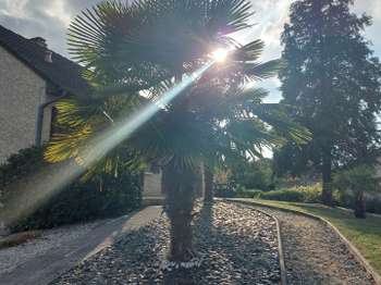 Vente Maison 3 chambresSavigné-l'Évêque