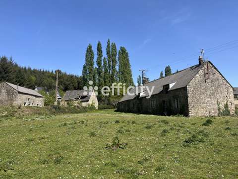 Vente maison 10 pièces