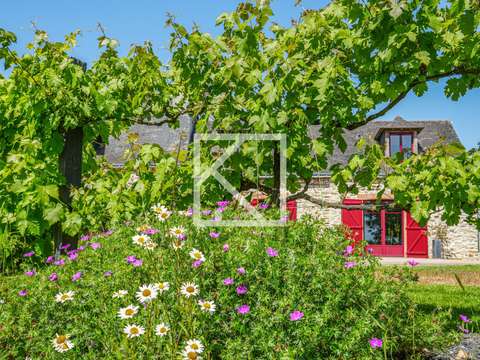 Vente maison 8 pièces Segre 49