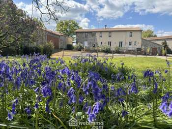 Vente maison 12 pièces Sèvremont 85