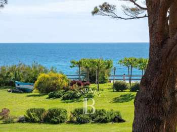 Vente maison 10 pièces Sisco 2B