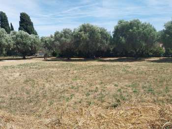 Vente MaisonSix-Fours-les-Plages