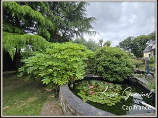 Vente maison 10 pièces