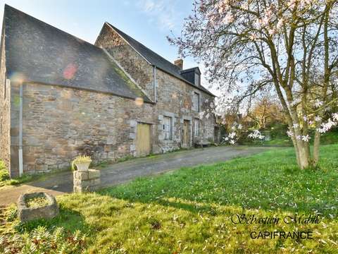 Vente maison 3 pièces Sougéal 35