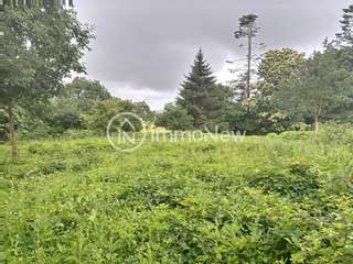 Vente maison 1 pièce