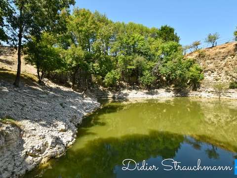 Vente maison 8 pièces Surgères 17