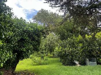 Vente Maison 2 chambresSurzur