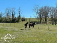Vente maison 12 pièces