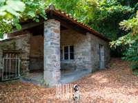 Vente maison 16 pièces
