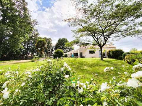 Vente maison 6 pièces Talmont-Saint-Hilaire 85