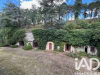 Vente maison 13 pièces