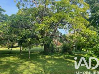 Vente maison 13 pièces